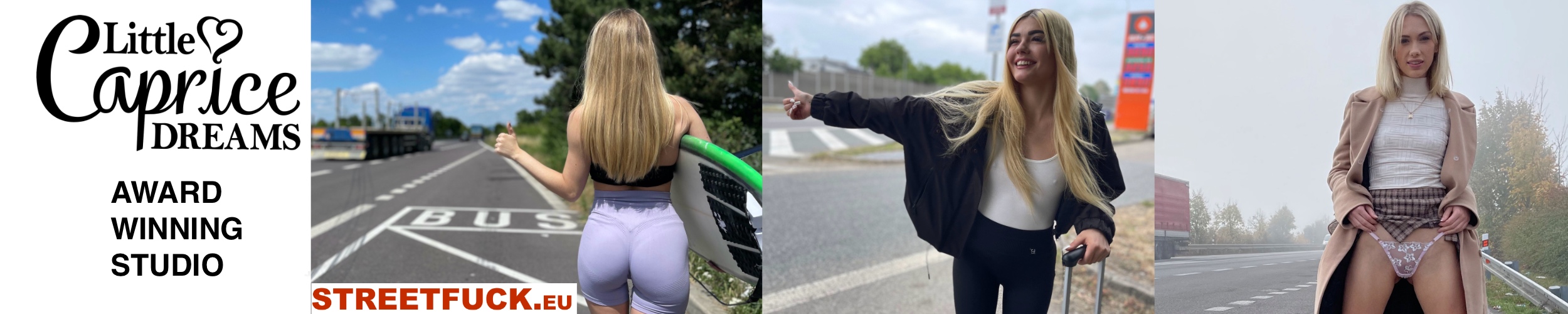Banner Little Caprice Dreams