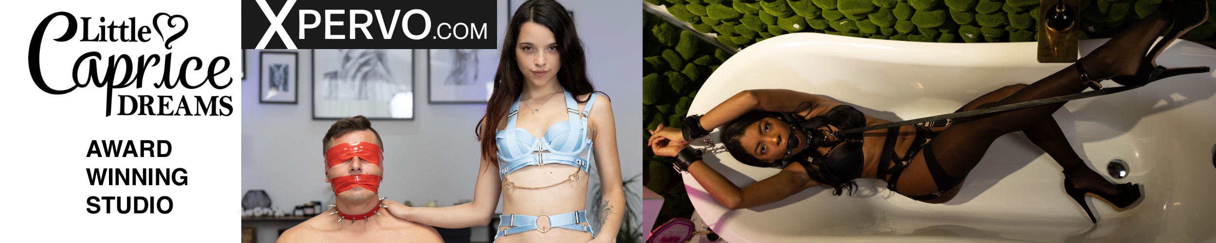 Banner Little Caprice Dreams